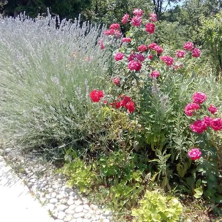 Gabi Διαμέρισμα